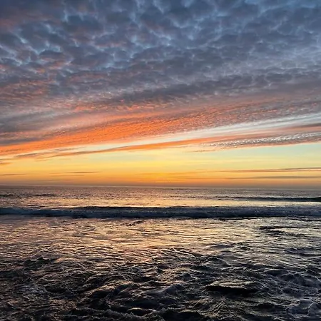 Hébergement de vacances La Maison D’emma Et Son Jardin Près De Lille *
