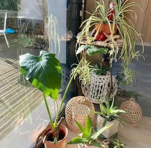 La Maison D’emma Et Son Jardin Près De Lille * Perenchies